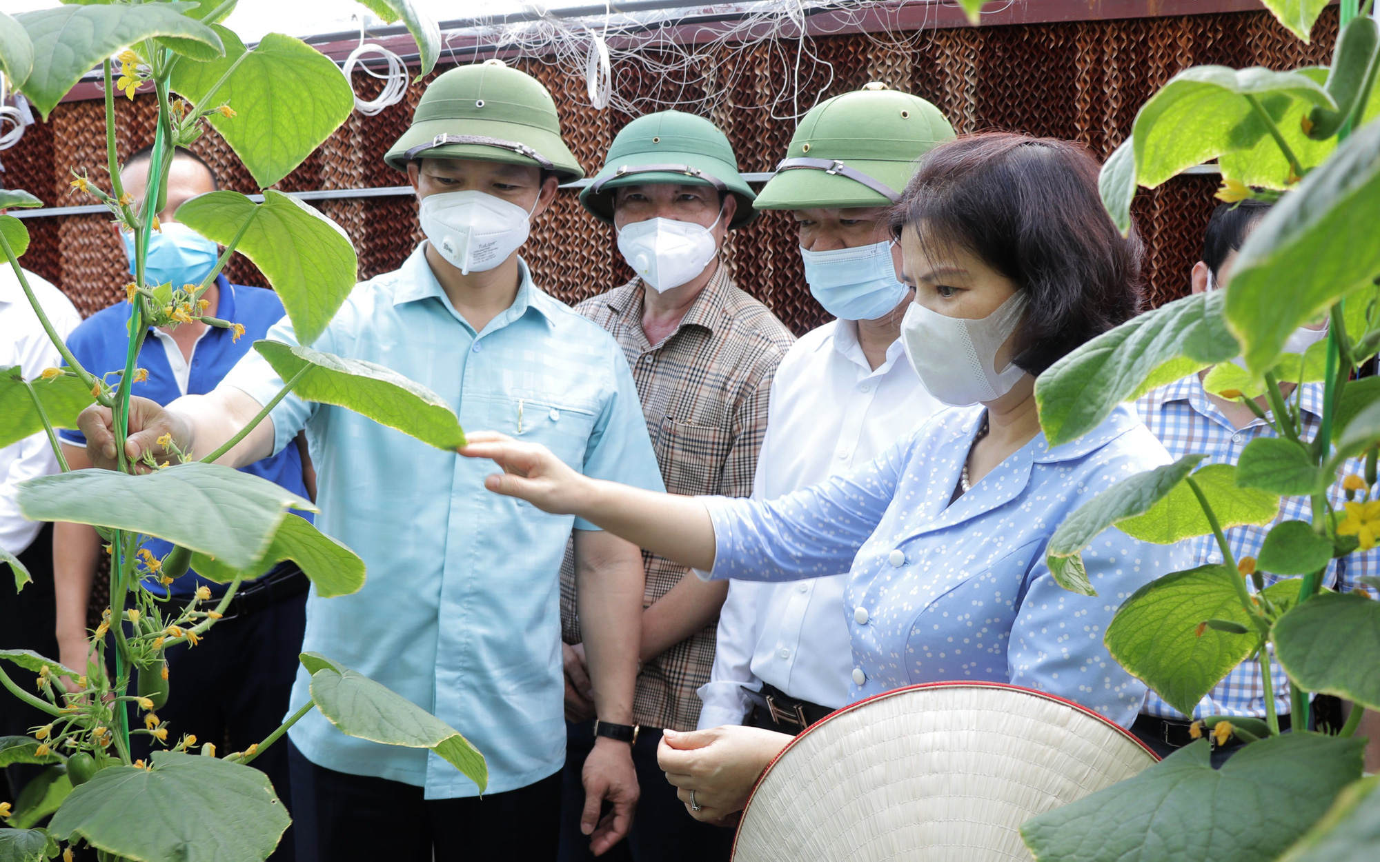 Bắc Ninh: Sẽ hỗ trợ tới 5 tỷ đồng/dự án nông nghiệp công nghệ cao