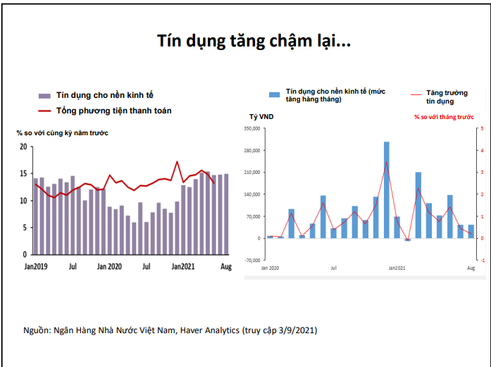 Kinh tế trưởng ADB tiết lộ lý do &quot;cần một cơ chế bảo lãnh tín dụng đặc biệt&quot;  - Ảnh 1.