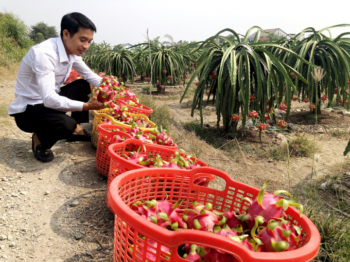 Long An &quot;trải thảm đỏ&quot; để nông dân đưa nông sản lên sàn - Ảnh 1.