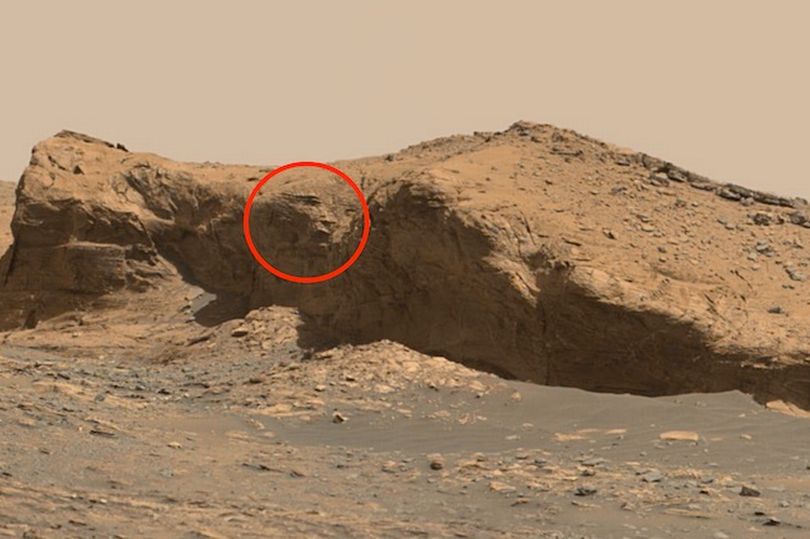 'Khuôn mặt người ngoài hành tinh 10.000 năm tuổi' được tìm thấy trên Sao Hỏa - Ảnh 1.