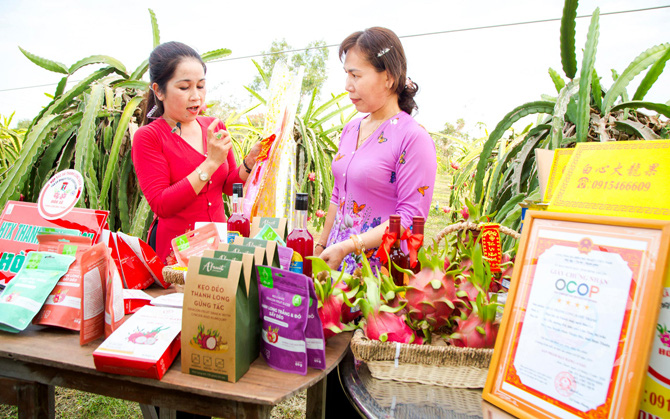 Bình Thuận: Xuất khẩu thanh long đều đều nhờ thấm nhuần bài học từ thị trường Trung Quốc
