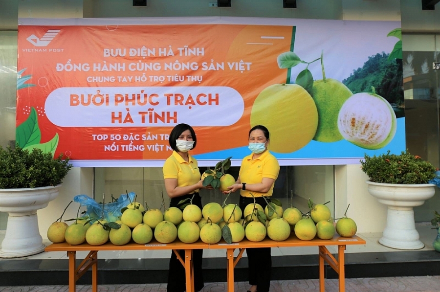 Chuyển đổi số là &quot;thang thuốc&quot; hiệu quả cho tương lai nông nghiệp Việt - Ảnh 10.