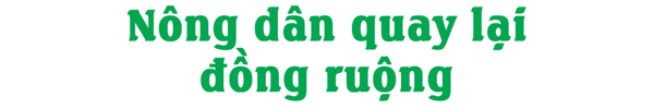 Cuộc sống người dân Thủ đô những ngày đầu thực hiện Chỉ thị 15 - Ảnh 21.