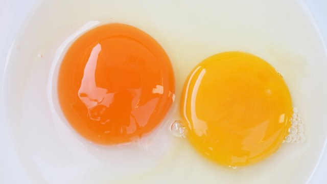 Thực hư thông tin lòng đỏ trứng gà càng sẫm màu thì ăn càng bổ? - Ảnh 2.