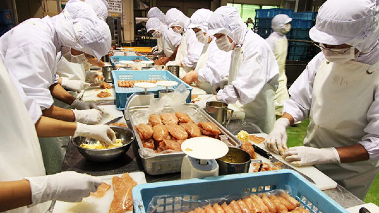Xuất khẩu lao động Nhật Bản - Ngành chế biến thực phẩm lương cao, nhu cầu lớn - Ảnh 3.
