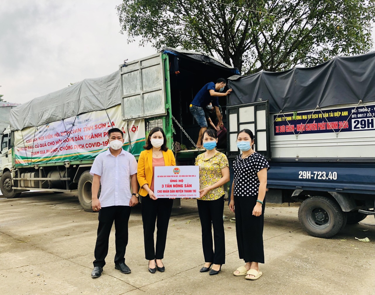 Hội Nông dân Sơn La hỗ trợ trên 100 tấn nông sản cho các tỉnh, thành phố chống dịch - Ảnh 4. Hội Nông dân Sơn La hỗ trợ trên 100 tấn nông sản cho các tỉnh, thành phố chống dịch - Ảnh 4.