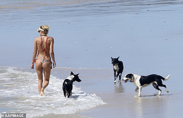 Australia: Đếm ngược thời gian kích hoạt &quot;lộ trình tự do&quot; với các &quot;chân dài bikini sexy&quot; lại tràn xuống bãi biển - Ảnh 7.