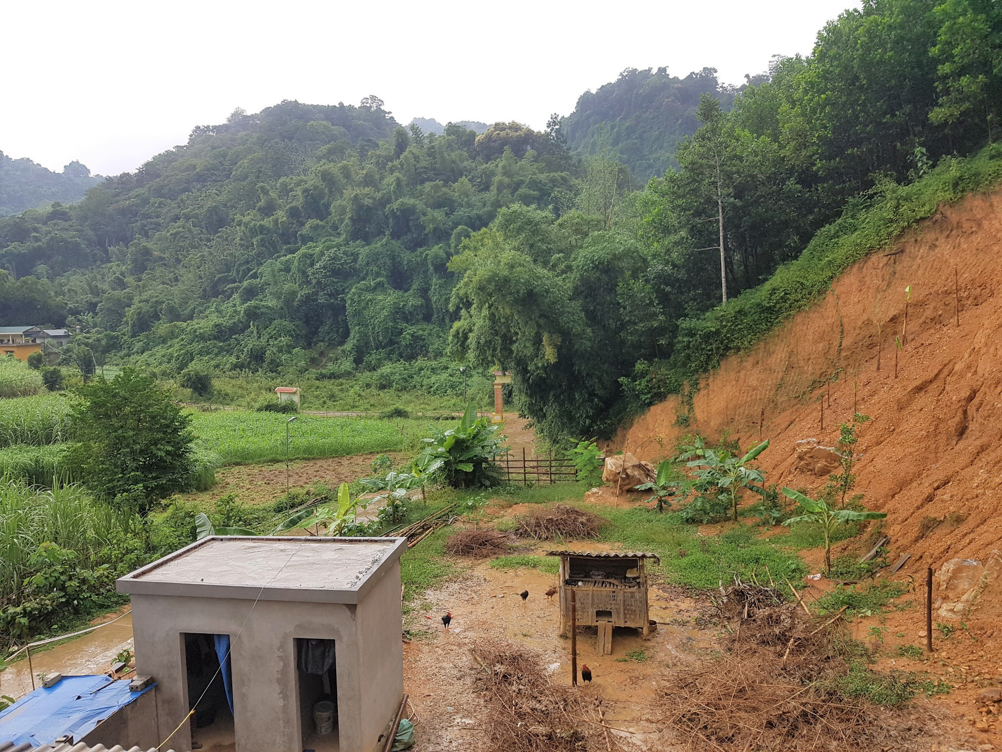 Đồi Vó Nước &quot;nứt toác&quot; vì mưa lớn, Ninh Bình di dời khẩn cấp nhiều hộ dân - Ảnh 8.