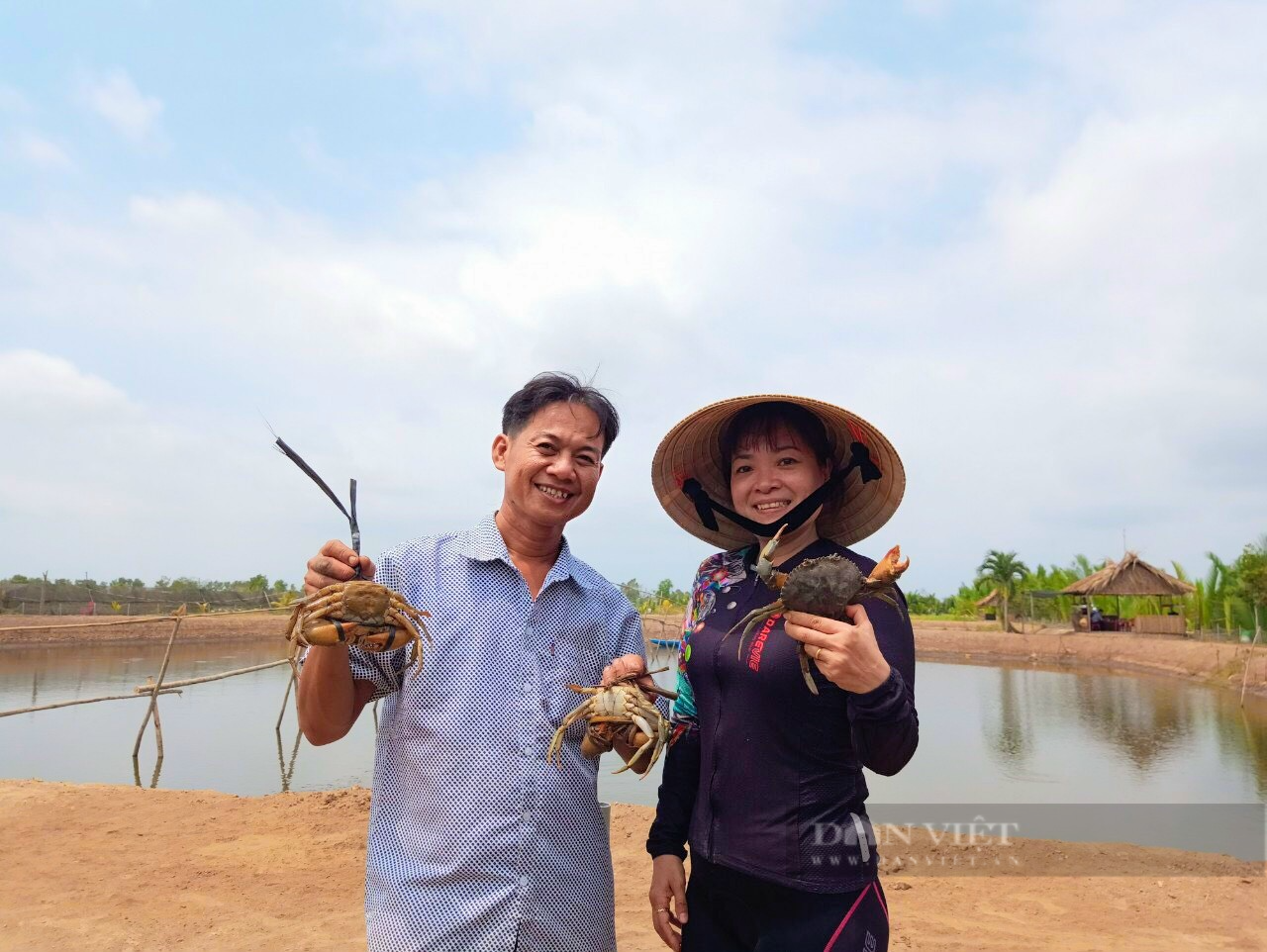 Bến Tre: Nuôi cua biển giống, càng to bự, cử nhân ngành thủy sản &quot;làm chơi ăn thật&quot; - Ảnh 1.