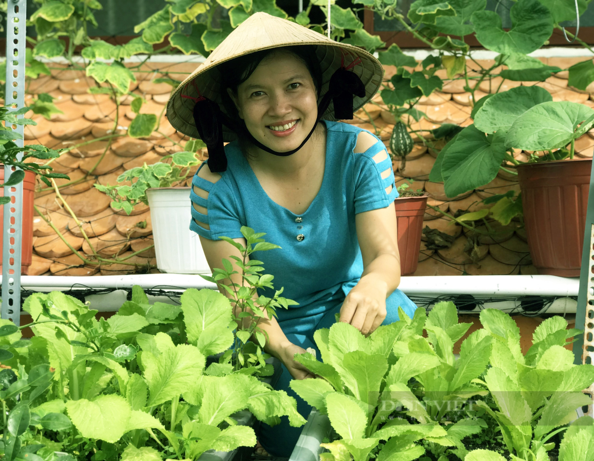 Kiên Giang: Tận dụng sân thượng, mảnh vườn trồng rau tại nhà mùa dịch - Ảnh 5.