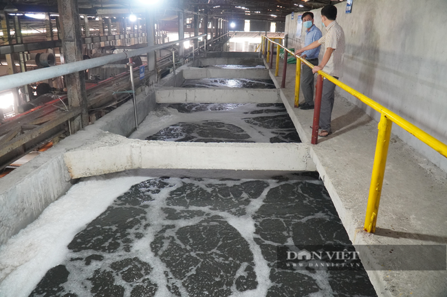 Bắc Ninh: Nước thải bùn đen lại tràn ngập đường CCN giấy Phú Lâm - Ảnh 8.
