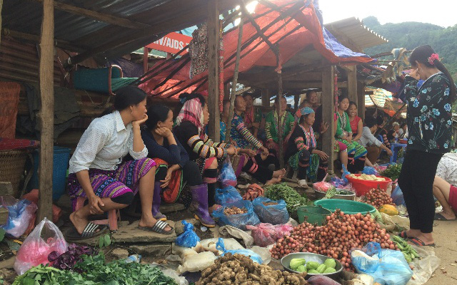 Nông thôn Tây Bắc: Phụ nữ Phìn Hồ giảm nghèo bền vững