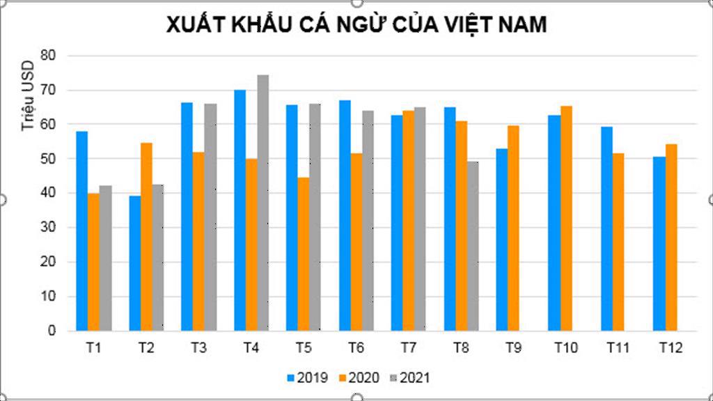 Xuất khẩu cá ngừ sang Mỹ, EU trong tháng 8/2021 giảm mạnh so với cùng kỳ - Ảnh 1.