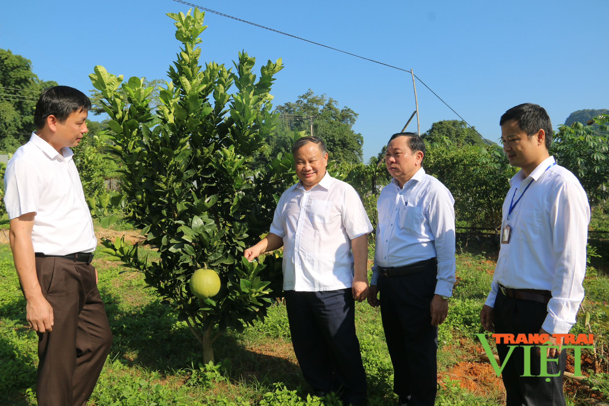 Sơn La: Bàn giao tài sản Dự án xây dựng Trung tâm Dạy nghề và Hỗ trợ nông dân cho Hội Nông dân tỉnh - Ảnh 1.