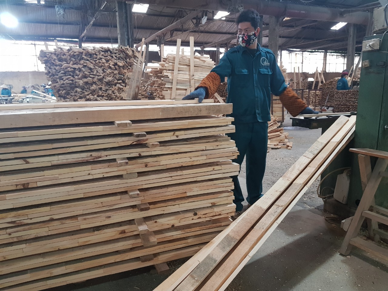 Bằng cách này, loại gỗ bình dân trồng khắp nơi ở Việt Nam cho giá trị 3.000 USD/m3 - Ảnh 3.