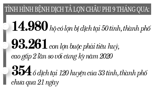 Dịch tả lợn châu Phi tái phát: Tăng chăn nuôi an toàn  sinh học - Ảnh 1.