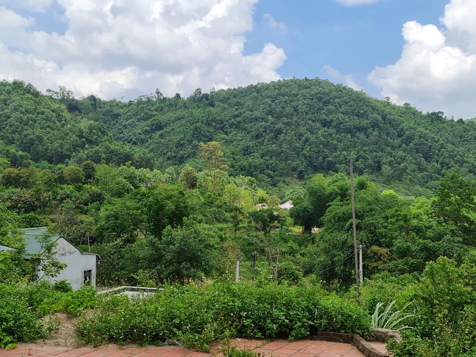 Bỏ tiền tỷ làm farmstay dang dở, không ngờ phải &quot;tháo chạy&quot; - Ảnh 2.