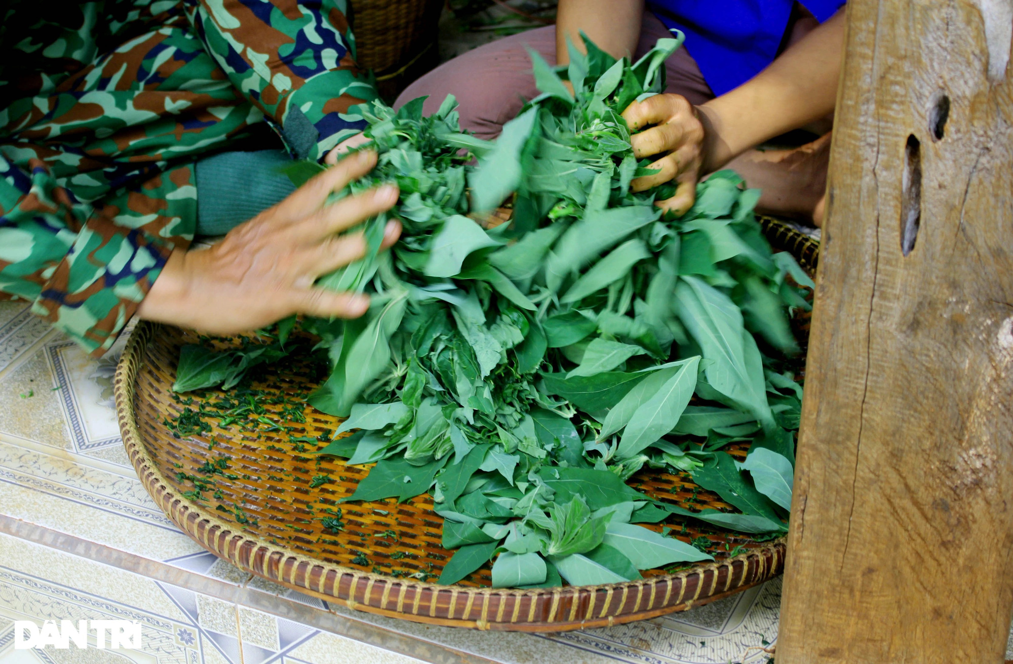 Tây Nguyên: Món ăn lạ lùng cà đắng nấu với là mì - Ảnh 2.