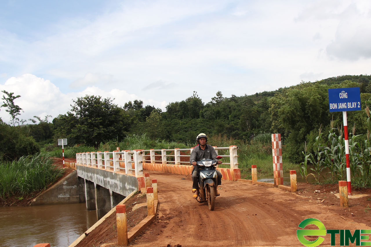 Đắk Nông: Mặc áo hoa cho những con đường biên giới - Ảnh 3.