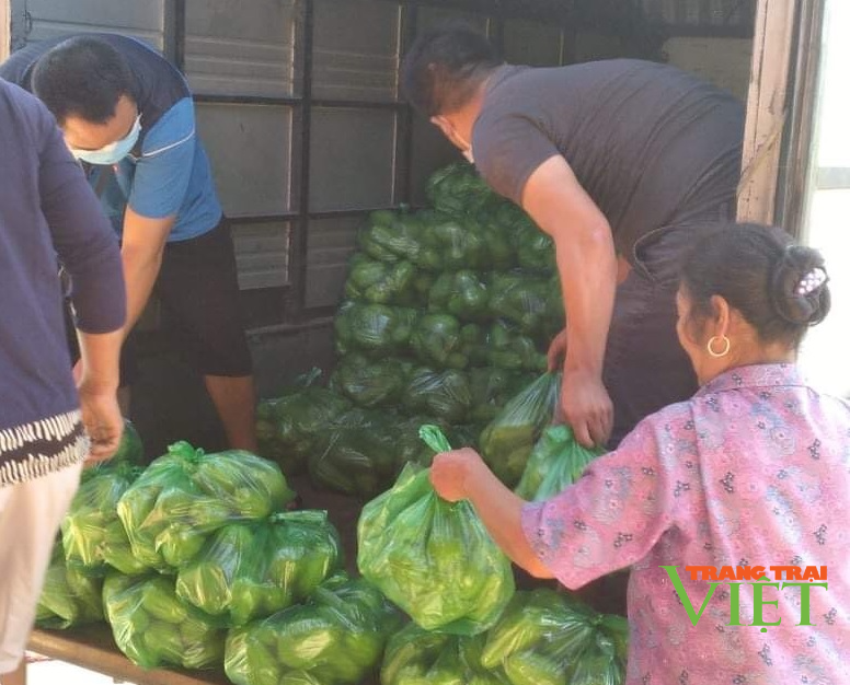 Hội Nông dân Hoà Bình: Hỗ trợ 5 tấn rau, củ, quả cho phường Bạch Mai - Ảnh 3.
