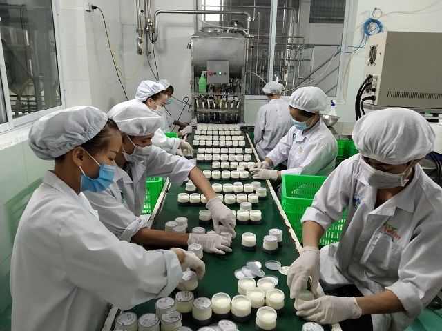 Liên kết sản xuất “sữa bò 4 sao” cho thu nhập ổn định - Ảnh 1.