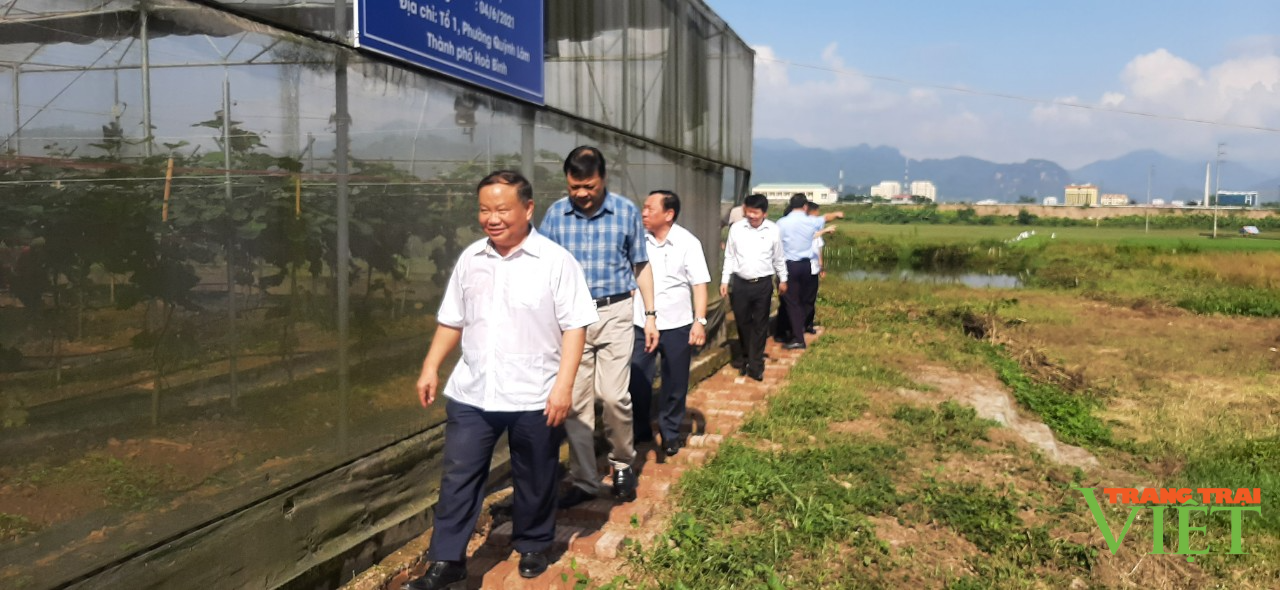 Trung ương Hội Nông dân Việt Nam: Bàn giao tài sản Trung tâm Dạy nghề và Hỗ trợ nông dân tại xứ Mường - Ảnh 4.