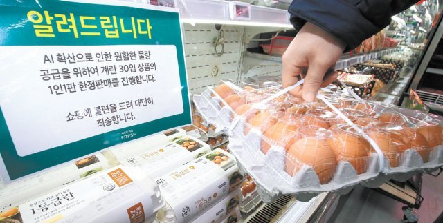 Không riêng Việt Nam, giá trứng gà tại Hàn Quốc đã tăng vọt trong nhiều tháng qua - Ảnh 1.