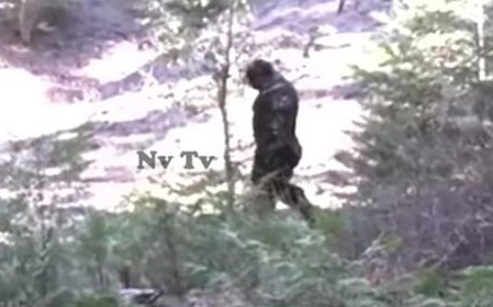 Video: Sốc với những hình ảnh cực kỳ chân thực về quái vật Bigfoot