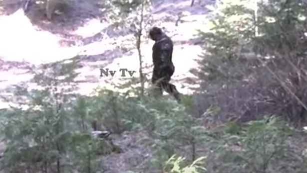 Video: Sốc với những hình ảnh cực kỳ chân thực về quái vật Bigfoot - Ảnh 2.