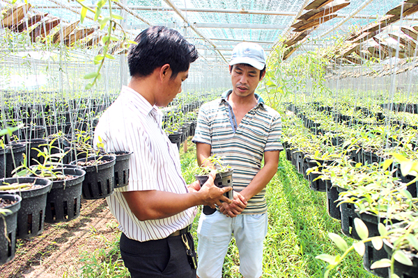 Đồng Nai: Vườn lan chục tỷ, có cả hoa lan đột biến của anh trưởng phòng bỏ Hà Nội vào rừng theo giấc mơ hoa - Ảnh 3.