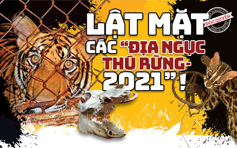 Lật mặt các “địa ngục thú rừng - 2021”: Nhà báo Điều tra và cái ngoái đầu của lương tri! (Bài cuối)