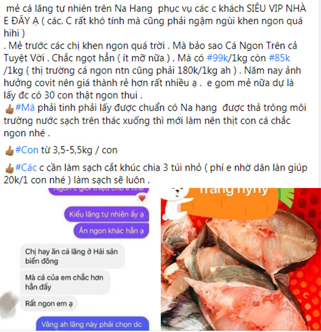 Cá đặc sản từng tiến Vua siêu rẻ, chỉ 85.000 đồng/kg - Ảnh 3.