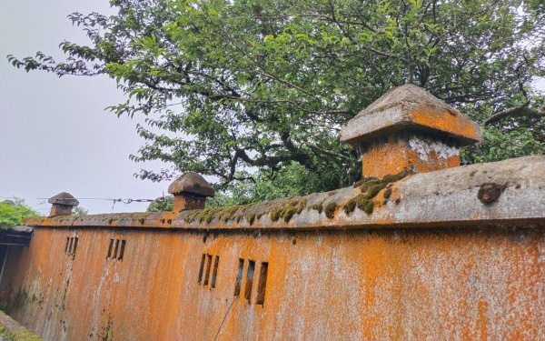 Cao Bằng: Lên vùng đất lạ, hẻo lánh này, khách phương xa ngắm chim muông thì ít mà ngắm rêu thì nhiều