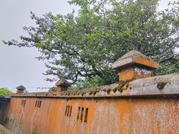 Cao Bằng: Lên vùng đất lạ, hẻo lánh này, khách phương xa ngắm chim muông thì ít mà ngắm rêu thì nhiều - Ảnh 3.