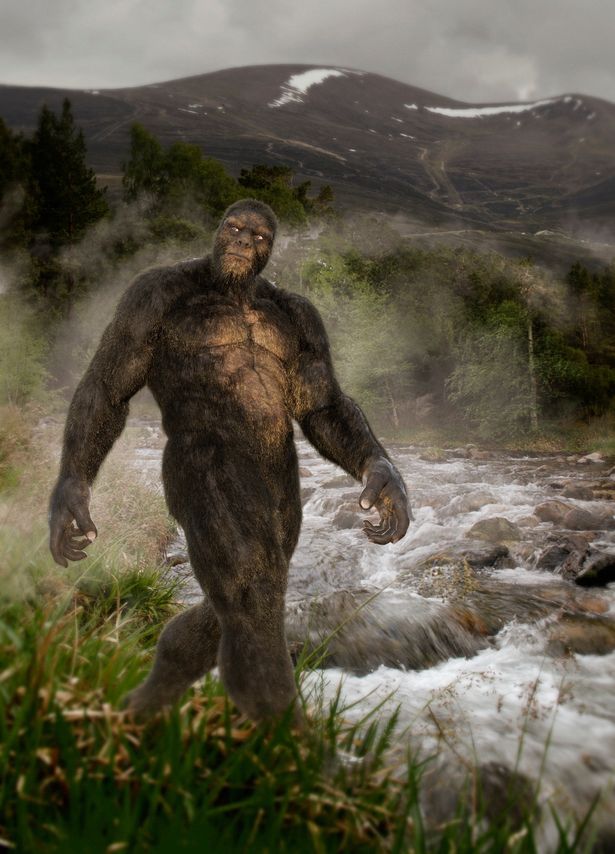 Kinh hoàng khoảnh khắc người đàn ông bị quái vật Bigfoot cao gần 5m tấn công - Ảnh 1.