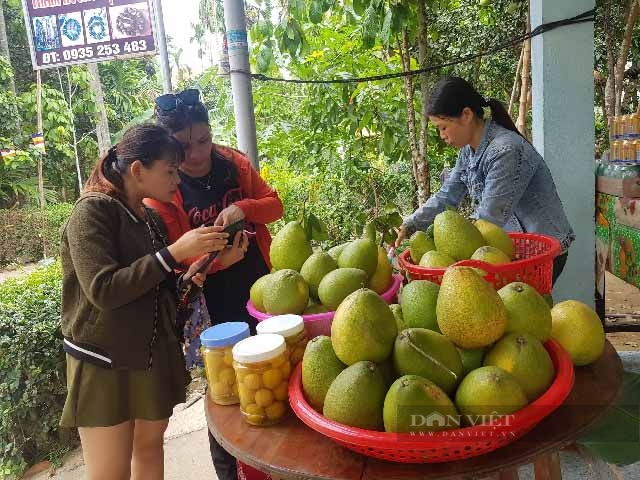 Quảng Nam: Đăng ký nhãn hiệu tập thể cho bưởi da xanh - Ảnh 2.