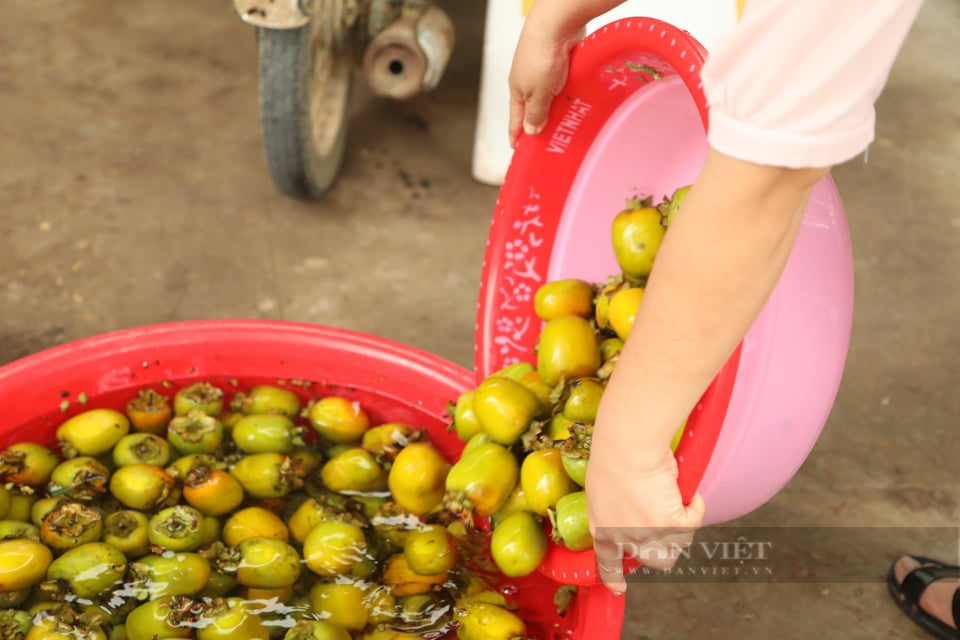 Phú Thọ: Loại quả ngon nức tiếng, ruột vàng có hình ngôi sao, dù giữa dịch vẫn cháy hàng - Ảnh 2.