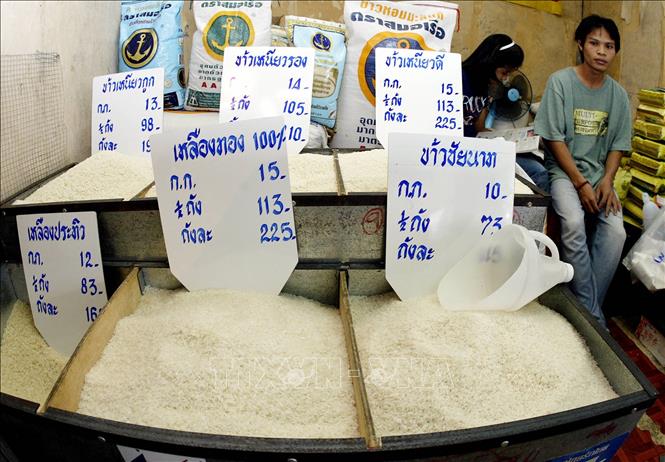 Thái Lan: Giá cước vận tải tăng phi mã, xuất khẩu gạo giảm sâu - Ảnh 1.