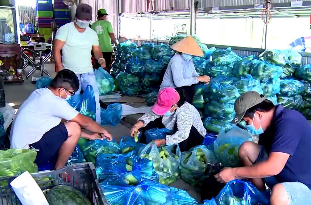 Long An Nhiều giải pháp tiêu thụ nông sản trong mùa dịch