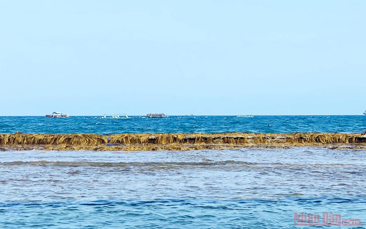 Bình Định: Lạ lùng với bức tường bí ẩn dưới đáy biển Quy Nhơn, bất ngờ hơn là khi tận mắt nhìn thấy - Ảnh 4.