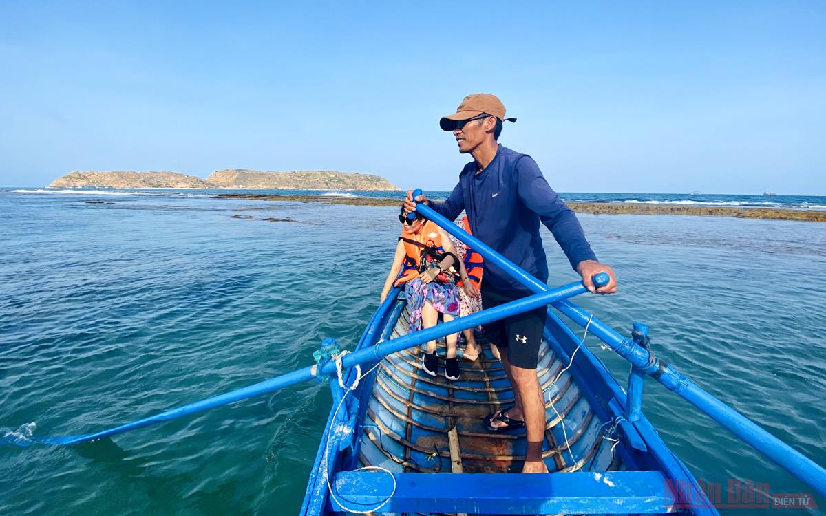 Bình Định: Lạ lùng với bức tường bí ẩn dưới đáy biển Quy Nhơn, bất ngờ hơn là khi tận mắt nhìn thấy - Ảnh 2.