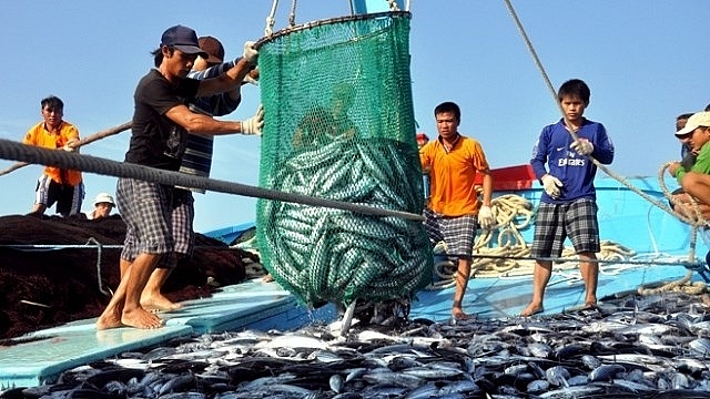 Phó Thủ tướng Lê Văn Thành yêu cầu giải cứu ngành thủy sản - Ảnh 1.