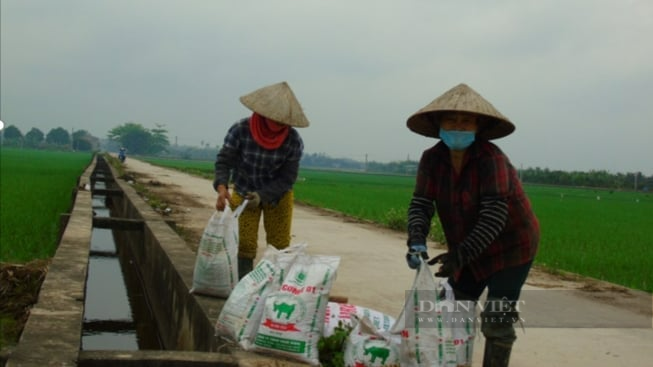 Nông dân Việt Nam xuất sắc 2021:  khát vọng làm giàu trên chính quê hương - Ảnh 3.