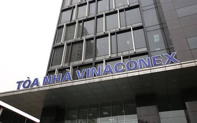 VinaConex chi hơn 526 tỷ đồng trả cổ tức cho các cổ đông - Ảnh 1.