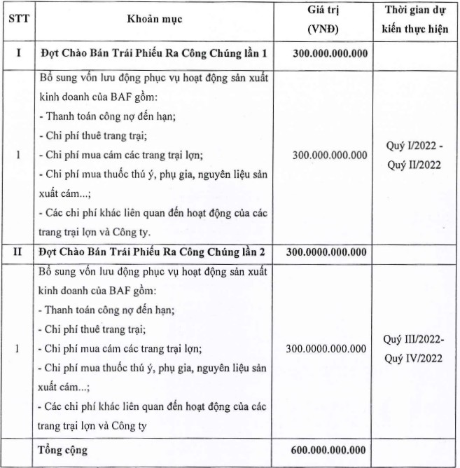 BaF Việt Nam (BAF) lên kế hoạch phát hành 600 tỷ đồng trái phiếu, lãi suất 10,5% - Ảnh 1.