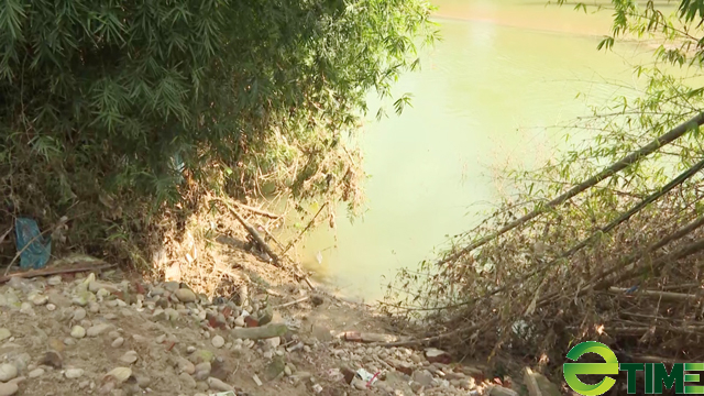 Quảng Ngãi: Ban lệnh khẩn xây kè chống sạt lở cho người dân ở sông Phước Giang  - Ảnh 3.