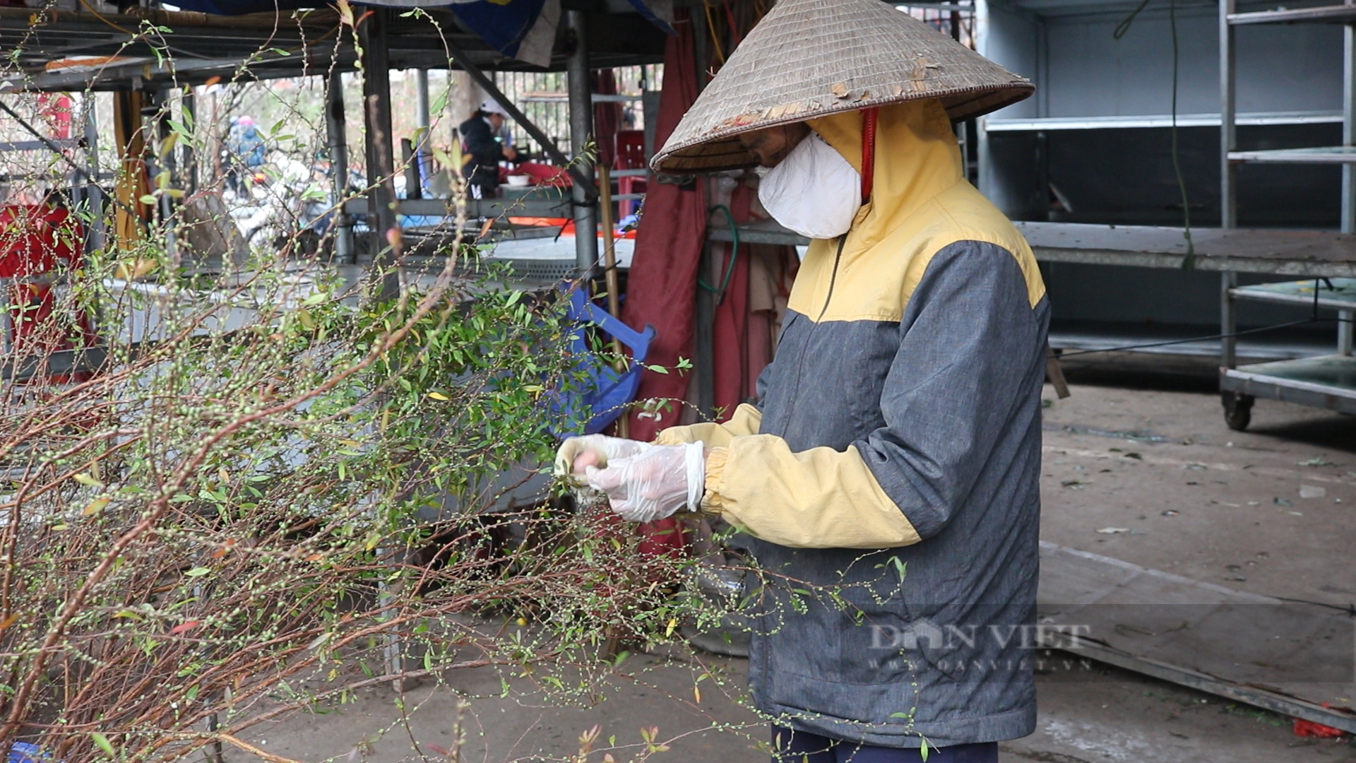 Nhiều lao động tự do vẫn miệt mài làm việc trong giá rét