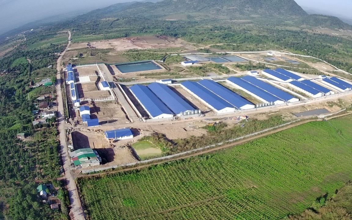 Tập đoàn Hoàng gia Hà Lan sở hữu số lượng nhà máy sản xuất thức ăn chăn nuôi nhiều nhất Việt Nam