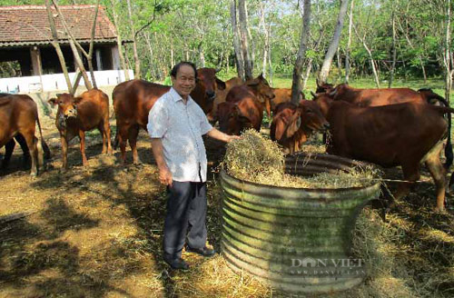 Quảng Nam: Hội Nông dân thị xã Điện Bàn sát cánh cùng nông dân thực hiện thắng lợi mục tiêu kép năm 2021 - Ảnh 8.