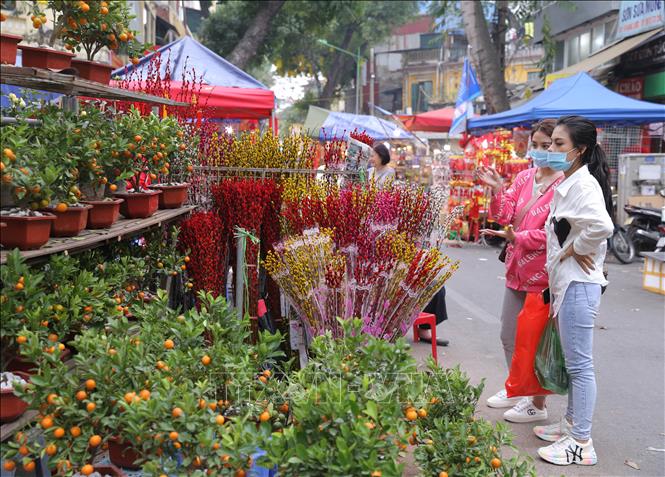 Hà Nội miễn phí thuê mặt bằng đối với các hộ bán hoa, cây cảnh dịp Tết - Ảnh 1.